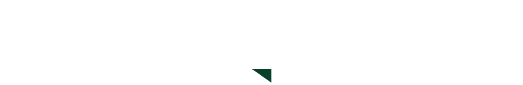 보배반점